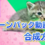 【Premiere Pro】 グリーンバック動画の背景を消して合成する方法【Ultraキー】