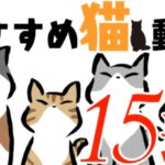【癒し】有名&おすすめネコのYouTube動画・チャンネル15選
